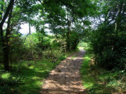 A walk around Shotover Country Park, Oxford Wallpaper