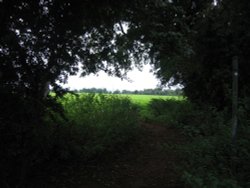A walk in Shotover Country Park, Oxford Wallpaper