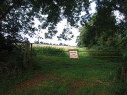 A walk in Shotover Country Park, Oxford Wallpaper