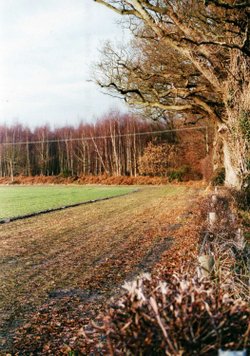 The land in repose
