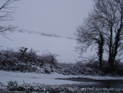 Winters day Wallpaper