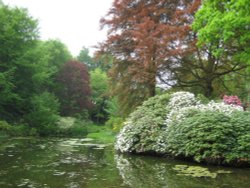 Wightwick Manor, the garden