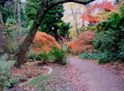 Autumn in all it`s glory.