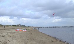 Sailborders Wallpaper