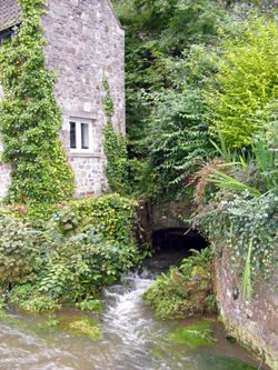 Cheddar Gorge