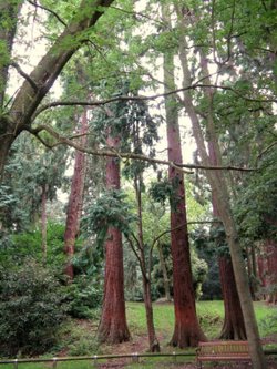 Coombe Abbey Land of the Giants