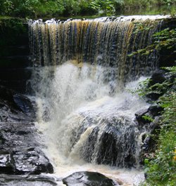 Waterfall at Roughlee