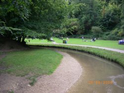 Hubbard's Hills