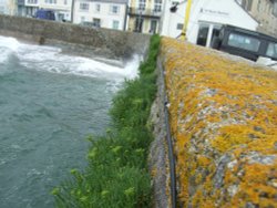 St Mawes Harbour