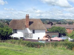 Canal Tea Garden Wallpaper