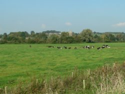 A view of Donyatt Wallpaper