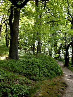 Wolsingham