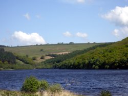 Wolsingham