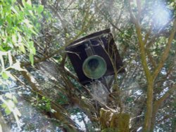 Church of St. Nicholas, Barfrestone, Kent Wallpaper