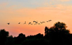 Thatcham, Berkshire Wallpaper