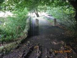 Bridge