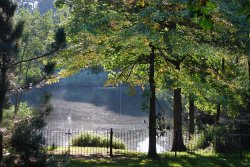 The pool at Haden Hill Park Wallpaper