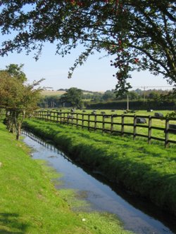 Stream