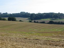 Nr Farringdon Wallpaper