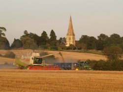 Overdue harvesting, Steeple Claydon, Bucks Wallpaper