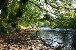 Along the River Hodder Wallpaper