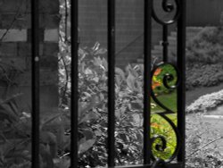 Grounds of my alma mater, Keble College, Oxford. Wallpaper