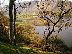 Surprise View Wallpaper