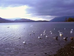 Derwentwater Wallpaper