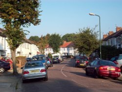 Elton Avenue Wallpaper