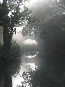 Basingstoke Canal, Up Nately