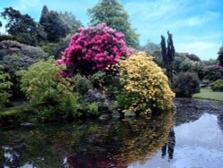 Biddulph Grange Gardens Wallpaper