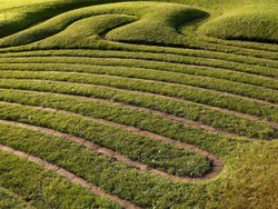 Turf labyrinth Wallpaper