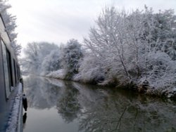 Snowy morning Wallpaper