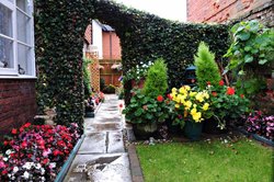 Newbury, Berkshire Wallpaper