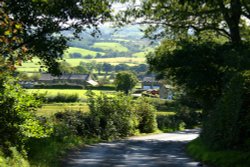 Ribchester Wallpaper