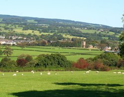 Ribchester Wallpaper