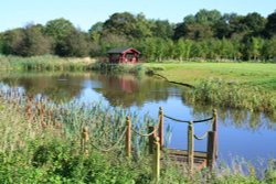 Osbaldeston Wallpaper