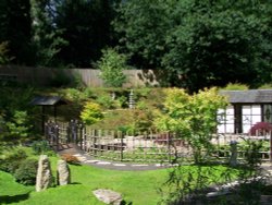 Kingston Lacy, Wimborne Minster, Dorset Wallpaper