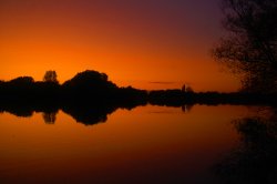 Orange sunset Wallpaper