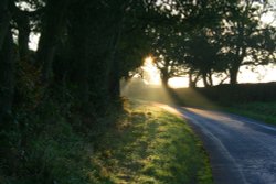 Early morning sun Wallpaper