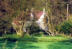 Tisbury Row Wallpaper