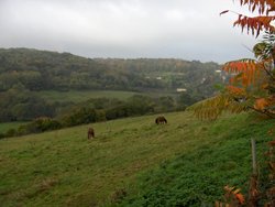 October view from Staples Hill Wallpaper
