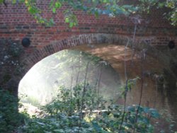 Basingstoke Canal Up Nately