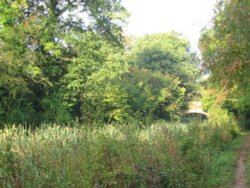 Basingstoke Canal, Up Nately Wallpaper