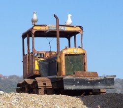 Stuck in the pebbles ? Wallpaper