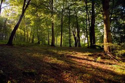 Frilsham, Berkshire