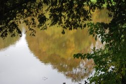 Autumn reflections Wallpaper