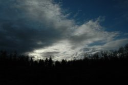 Stoke Park Wood Dec 2005 Wallpaper