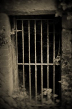 The cell
