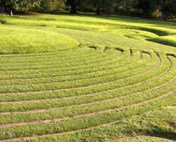 Saffron Walden labyrinth Wallpaper